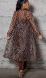 Wild Kitty | Jacket (SHIPS 1/22)
