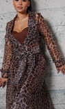 Wild Kitty | Jacket (SHIPS 1/22)